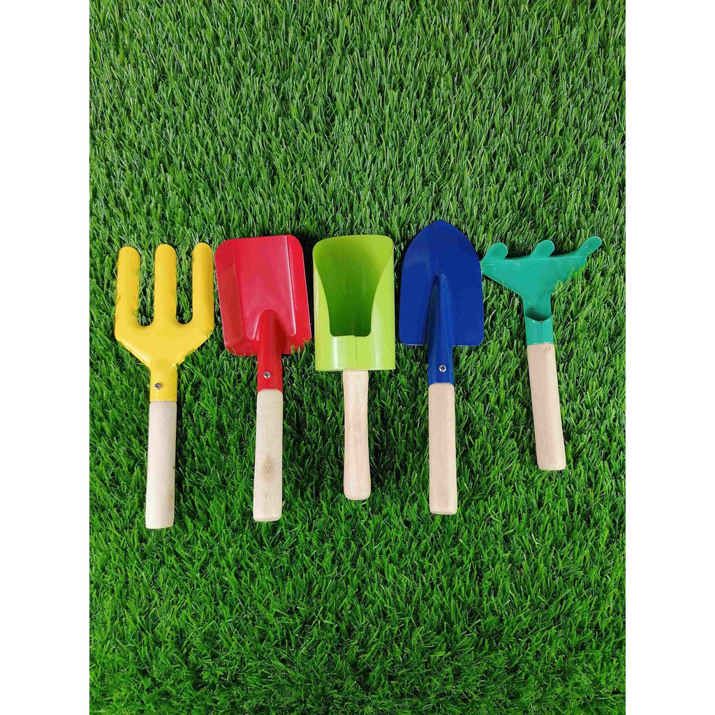 Succulent and Cactus Gardening Set of 5 by Plant Culture PH