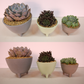 Nordic Minimalist Footed Melamine Planter | Plastic Pots