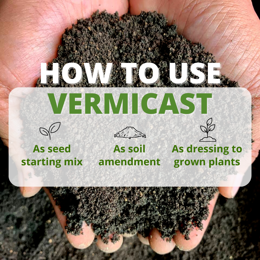 Vermicast Worm Casting Fertilizer