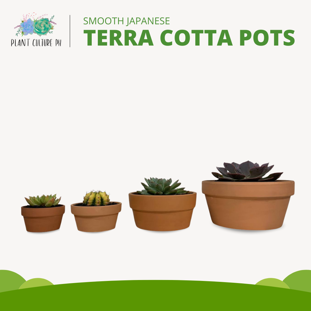 Smooth Japanese Terracotta Planters (Shallow) | Clay Pots