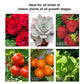SANSI Grow Light Wing Style 60Watts, Full Spectrum, Perfect for Seeding and Growing of Indoor Plants