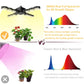 SANSI Grow Light Wing Style 60Watts, Full Spectrum, Perfect for Seeding and Growing of Indoor Plants