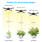 SANSI Grow Light Wing Style 60Watts, Full Spectrum, Perfect for Seeding and Growing of Indoor Plants