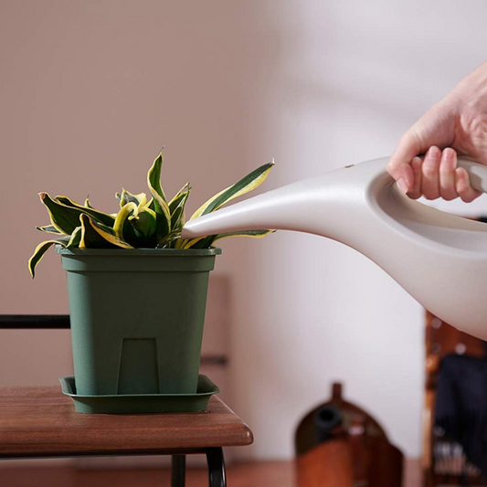Plastic Long Nozzle Watering Can 1.5L By Plant Culture PH
