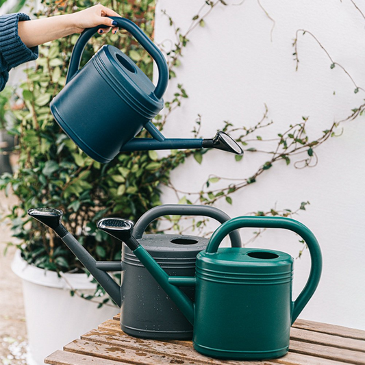 Handheld Watering Can with Sprinkler Head 3L By Plant Culture PH