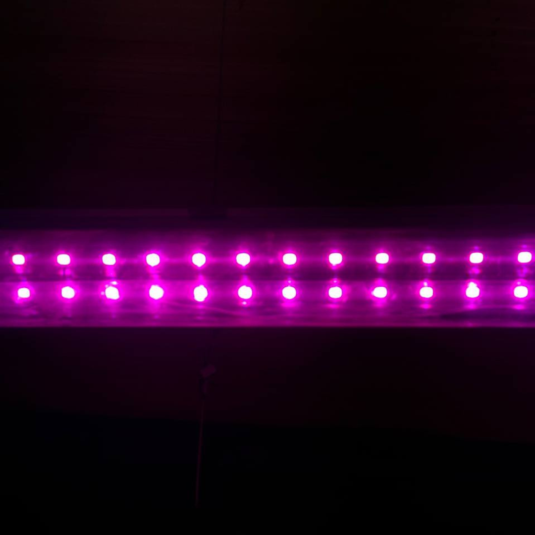 ADC LED Grow Lights 36W 4FT (Warm White/Pink) | BRAND NEW