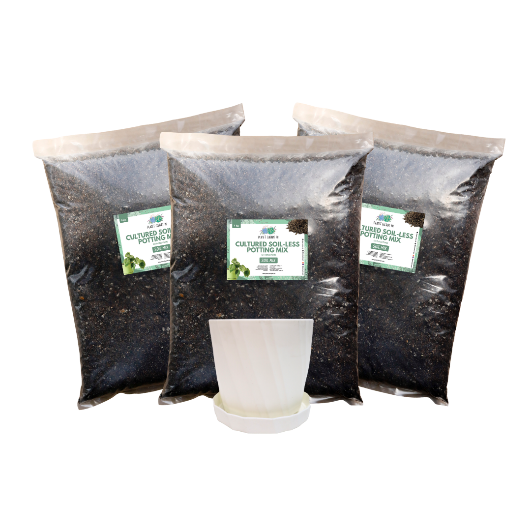 Cultured Soilless Potting Mix 4kg x 3 Bundle for All-Purpose Gardening