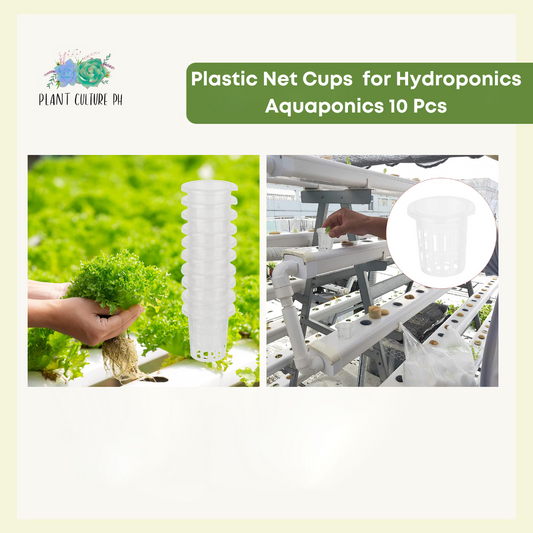 Plastic Net Cup Planters for Hydroponics & Aquaponics | Mesh Basket Planting Cup | Hydroponic NFT Soiless Grow - 10pcs