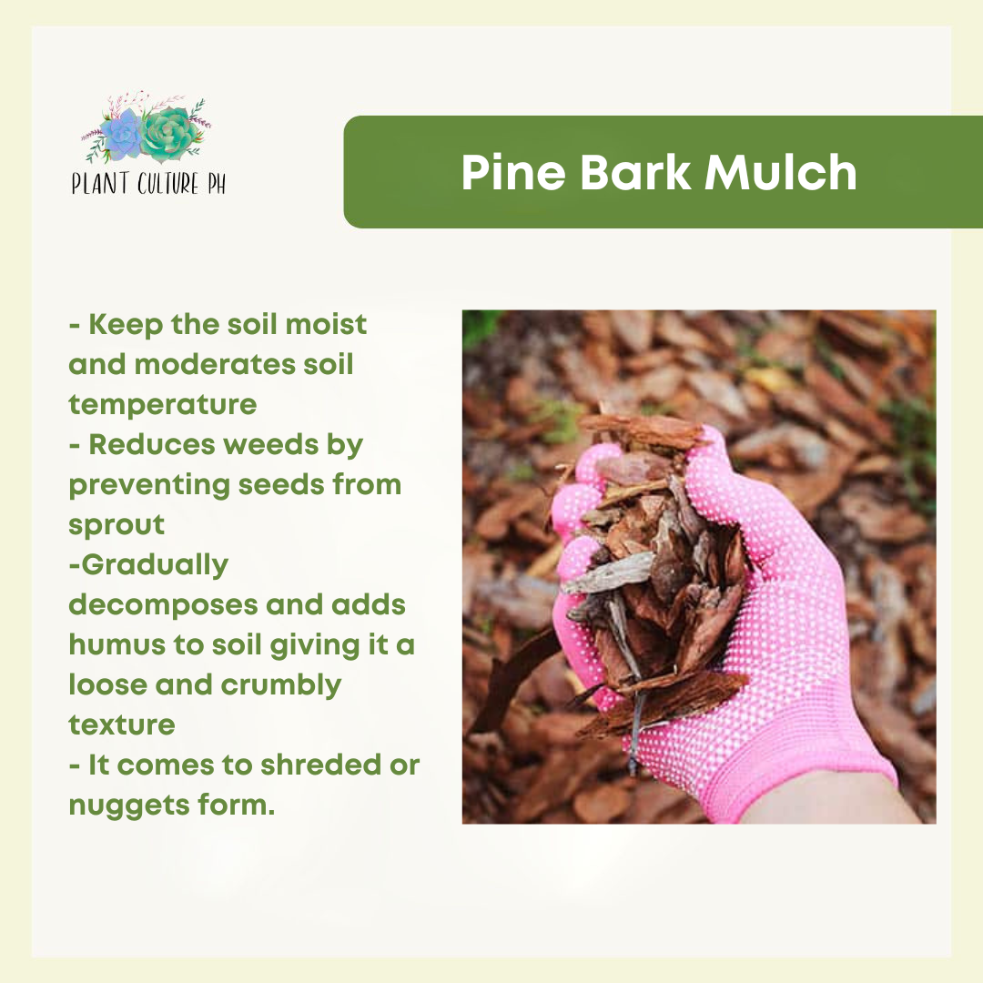 Pine Bark Mulch 1Liter by Plant Cullture PH