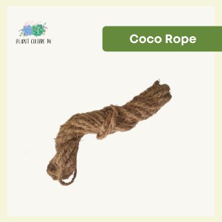 Coco-rope By Plant Culture PH