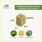 Hydroponics Rockwool 36cubes / 50cubes by Plant Culture PH