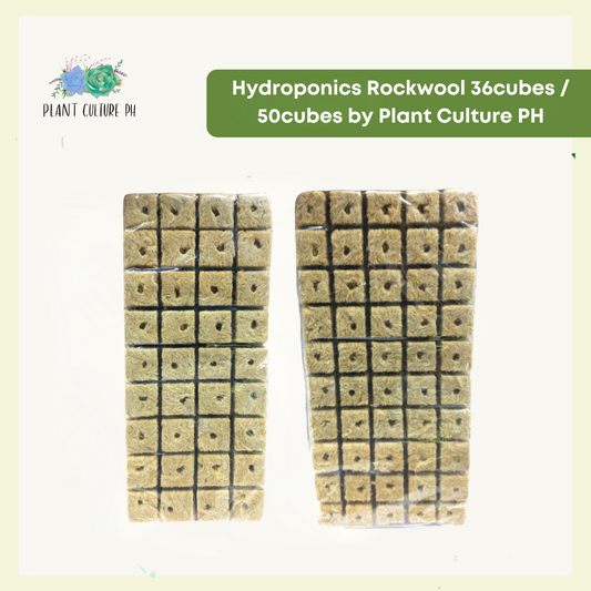 Hydroponics Rockwool 36cubes / 50cubes by Plant Culture PH