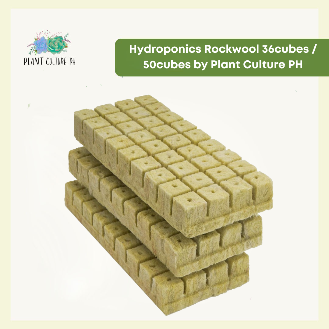 Hydroponics Rockwool 36cubes / 50cubes by Plant Culture PH