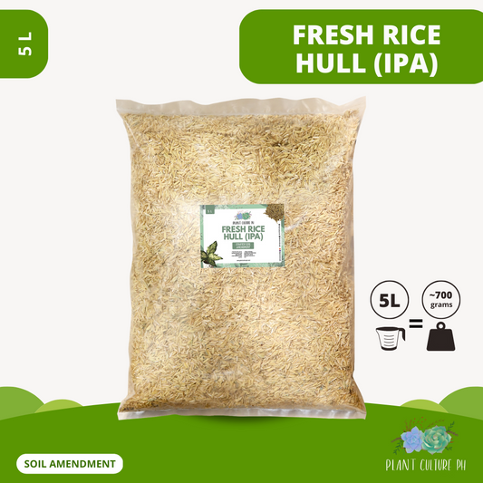 Fresh Rice Hull (Ipa) by Plant Culture PH
