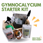 Gymnocalycium Starter Kit