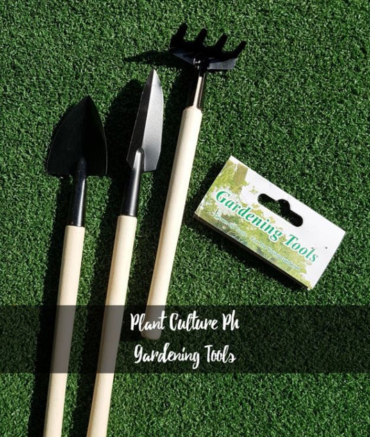 Succulent and Cactus Gardening Tools by Plant Culture PH