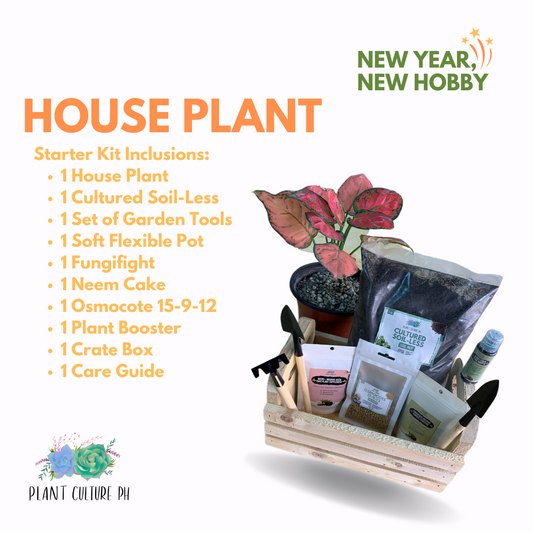 House Plant Starter Kit