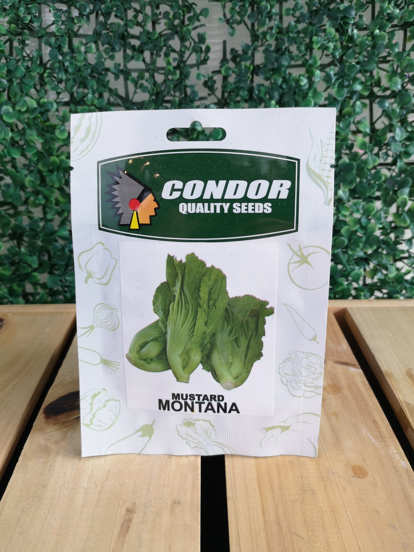 Condor Quality Seeds Mustard Montana