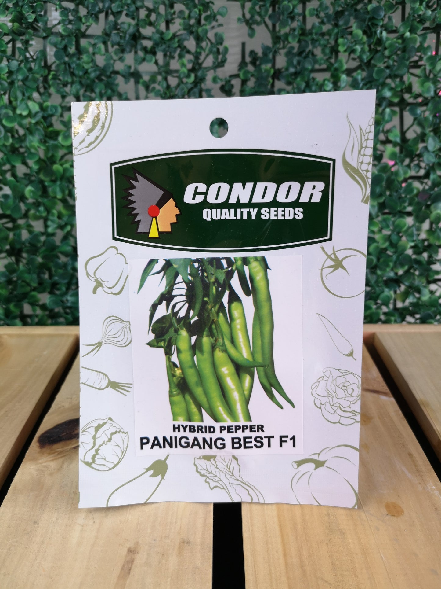 Condor Quality Seeds Hybrid Pepper Panigang Best F1 0.5 grams