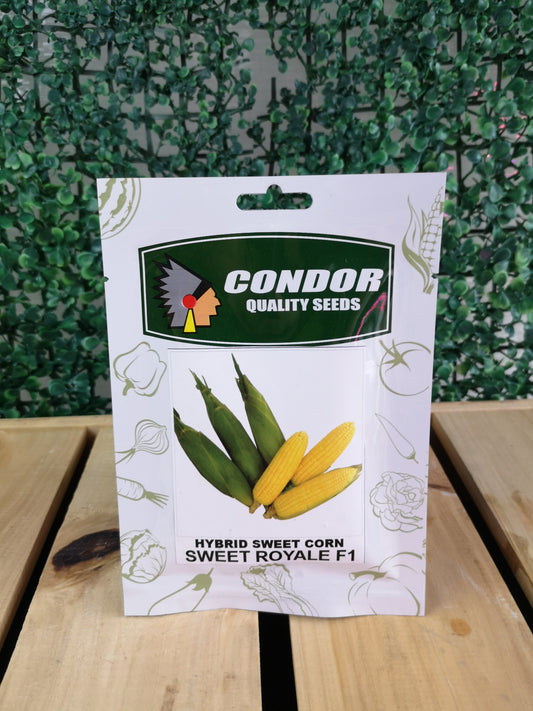 Condor Quality Seeds Hybrid Sweet Corn Sweet Royale F1 10 grams