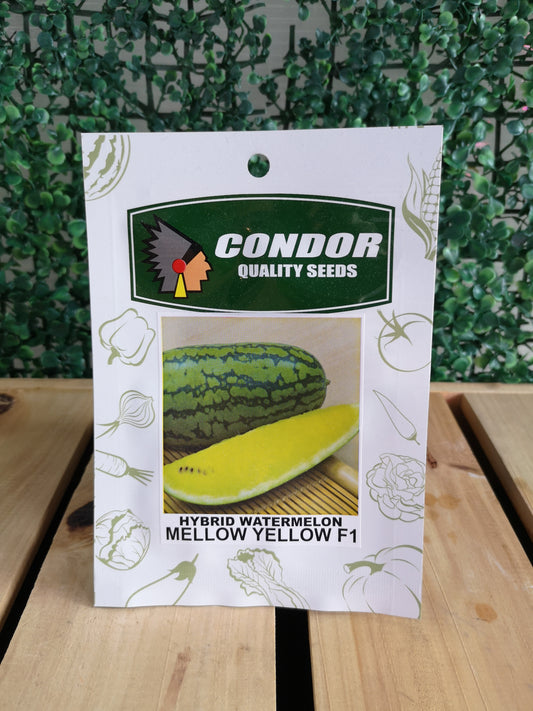 Condor Quality Seeds Hybrid Watermelon Mellow Yellow F1 1 gram