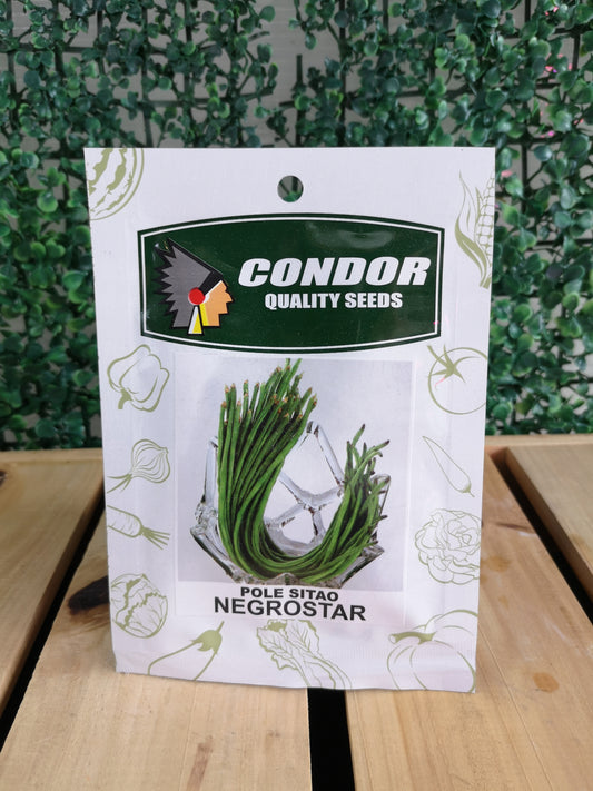 Condor Quality Seeds Pole Sitao Negrostar 10 grams