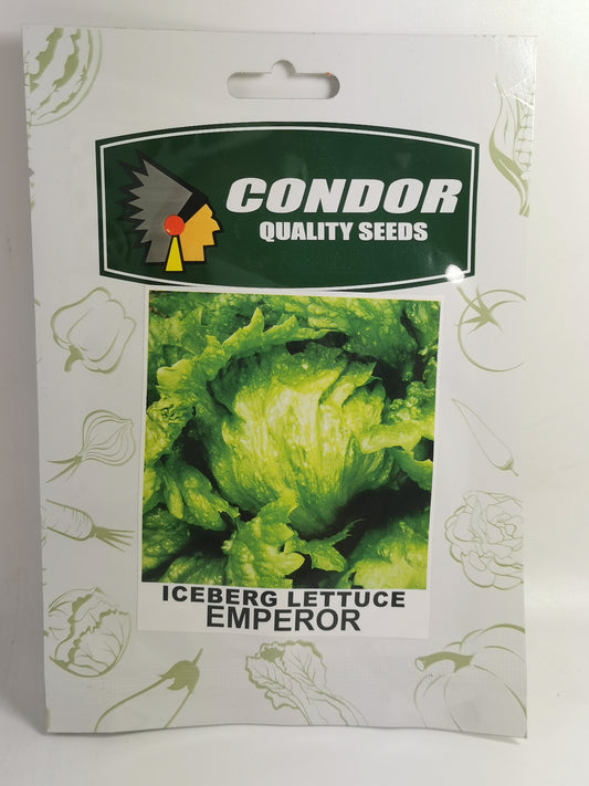 Condor Quality Seeds Iceberg Lettuce Emperor 1g