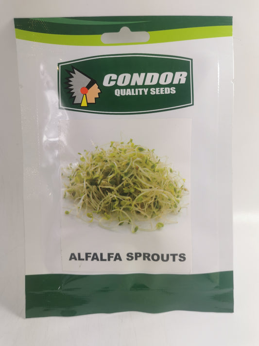 Condor Quality Seeds Alfalfa Sprout 30 grams