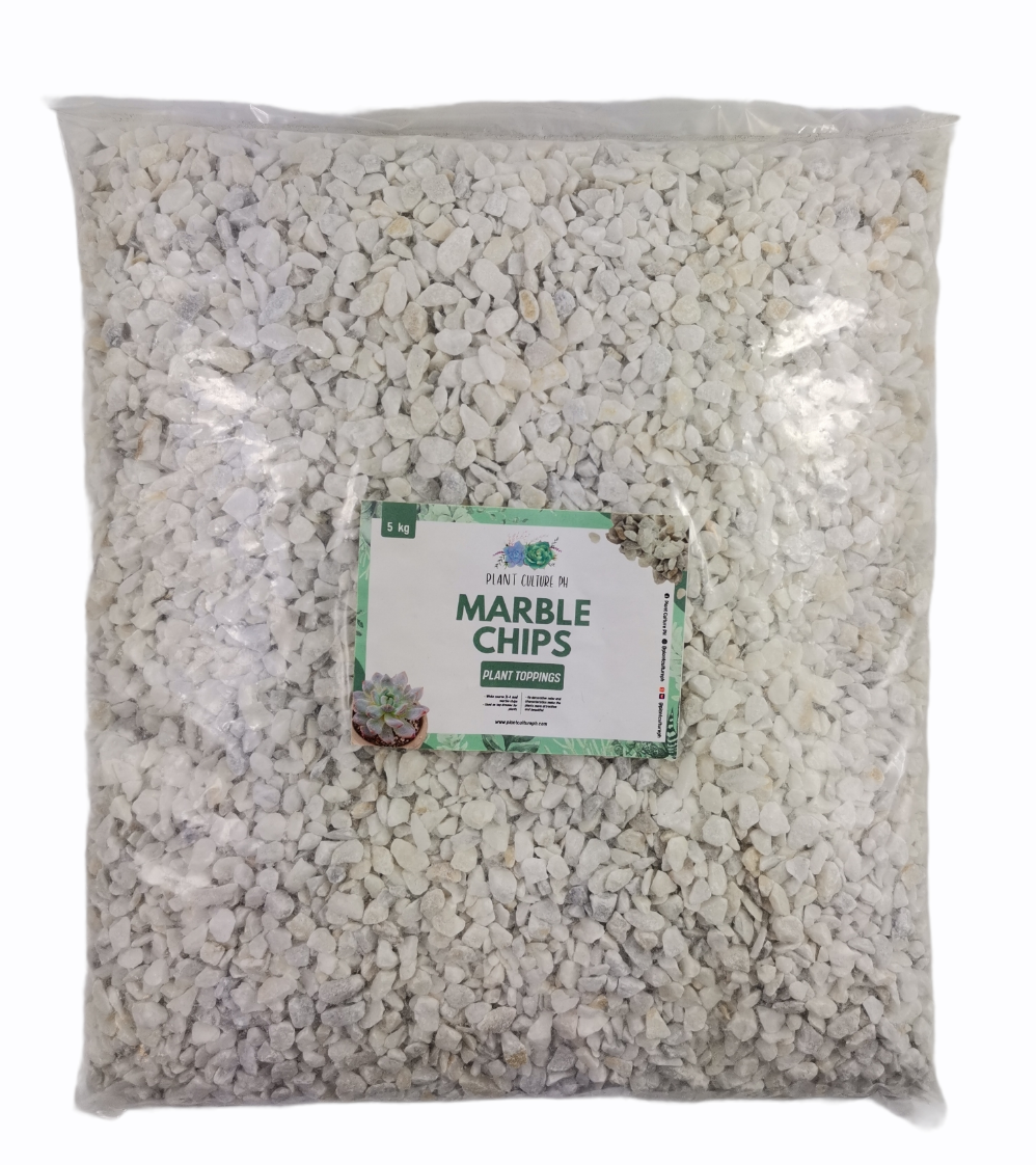 White Marble Chips By Plant Culture PH
