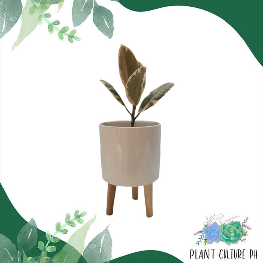 Elevated Planter with Wooden Stand | Ceramic Pots