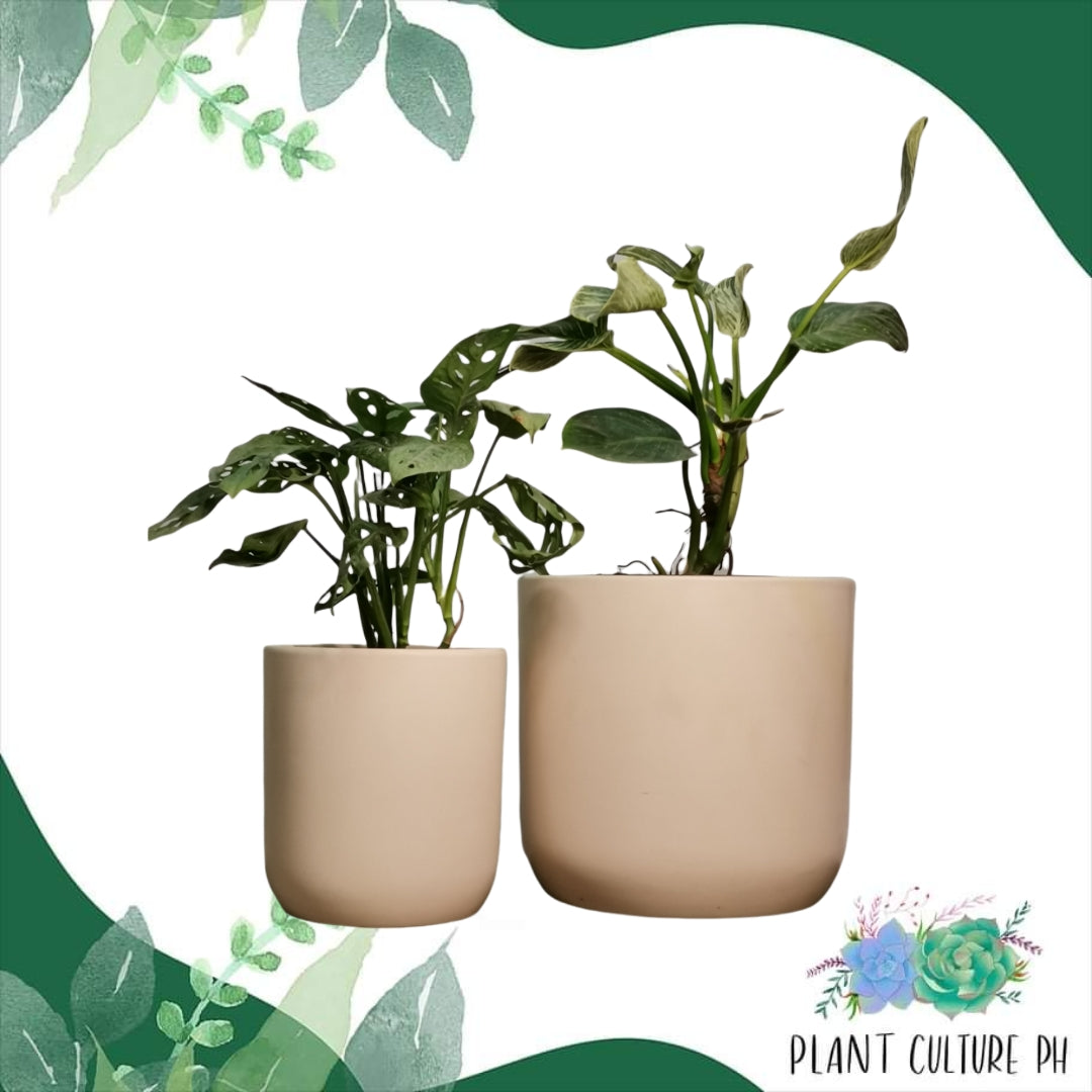 Minimalist Round Pot for Indoor Plants by Plant Culture PH