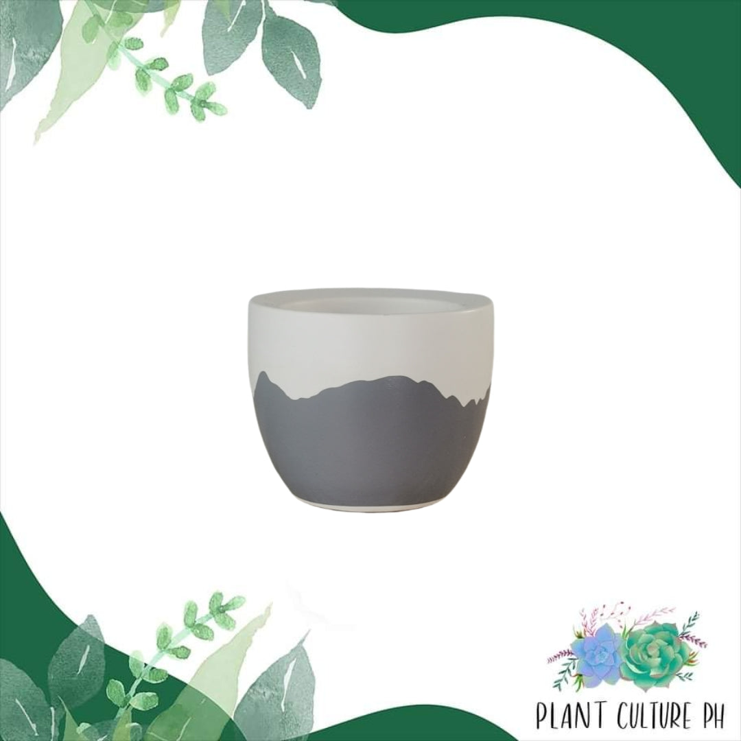 Small Ceramic Planters | Ceramic Pots