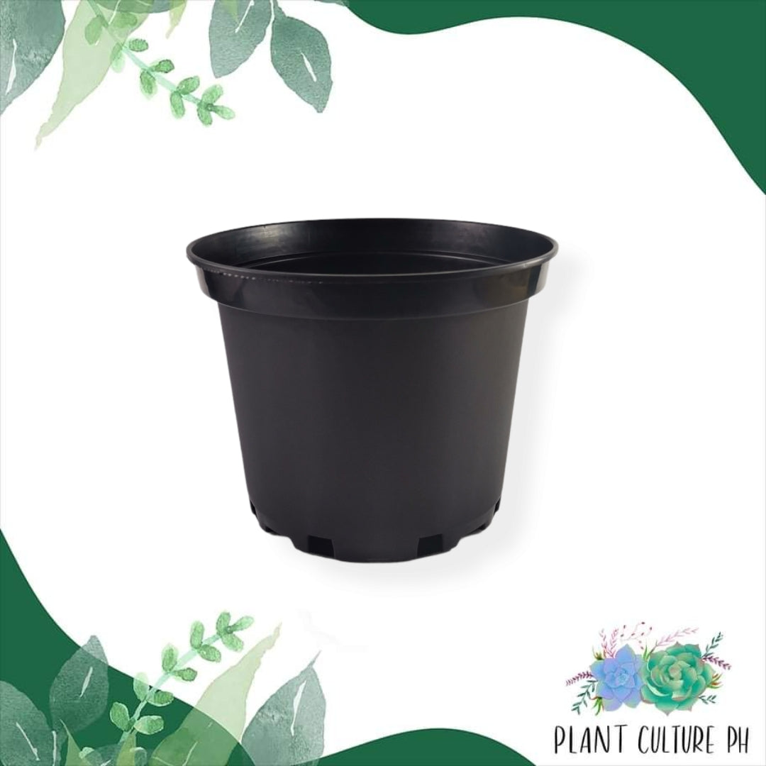 Basic Planter in Black | Plastic Pots