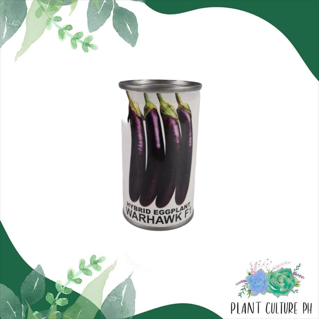 Condor Quality Seeds Hybrid Eggplant Warhawk Junior Can (1100 seeds)