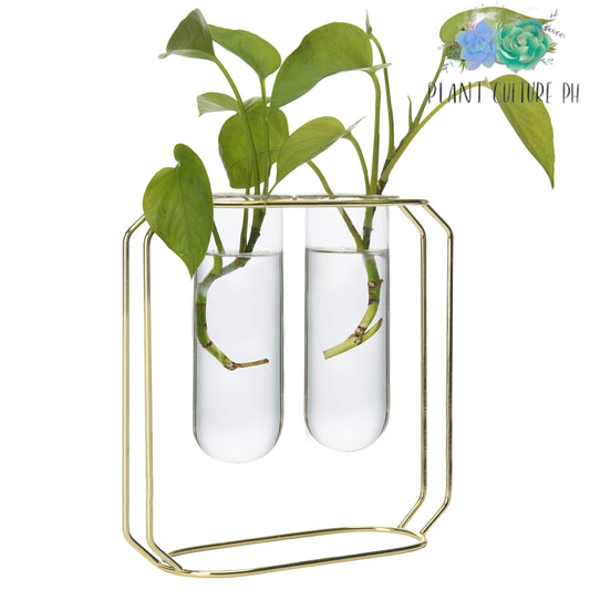 Nordic Glass Tube Vase with Metal Frame