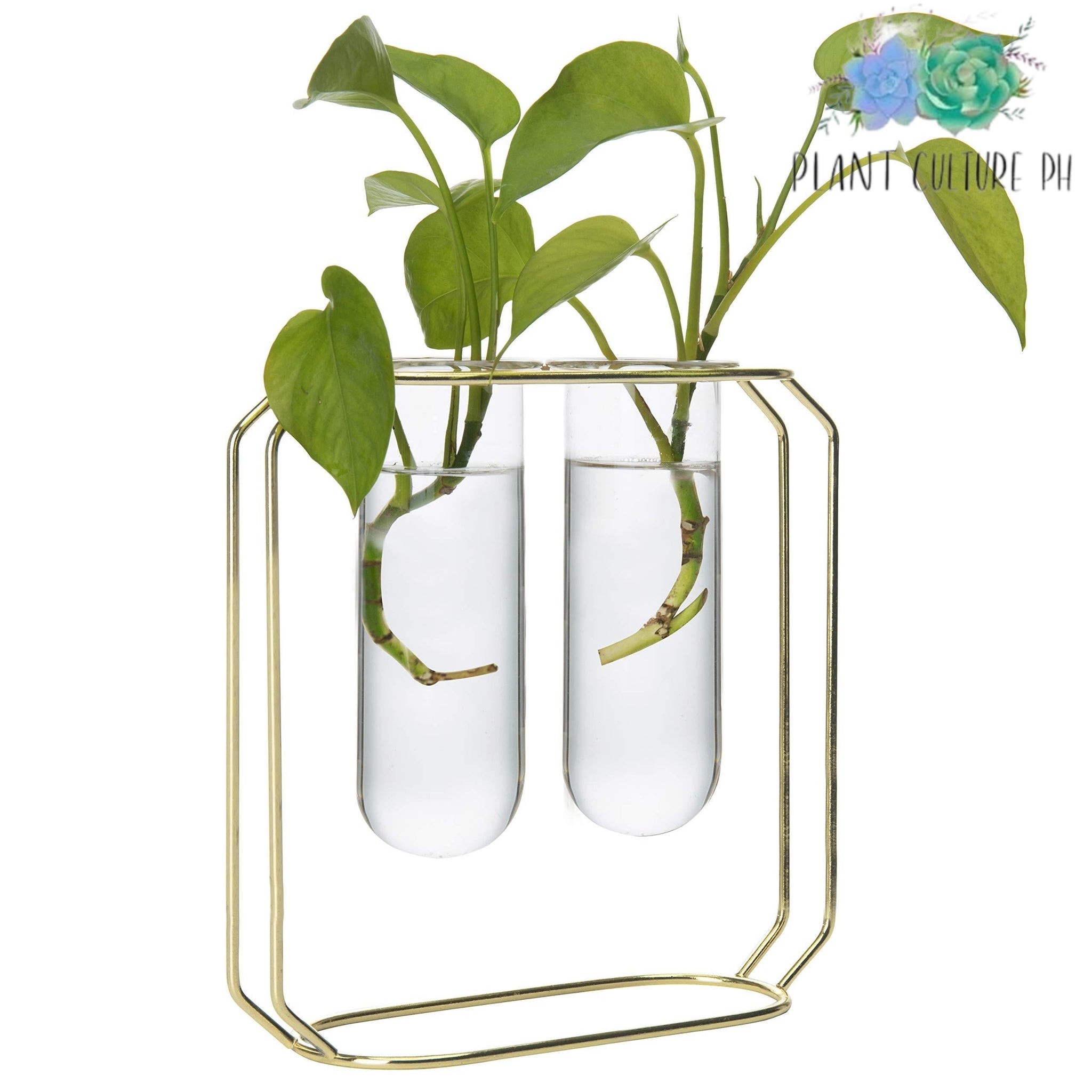 Nordic Glass Tube Vase with Metal Frame Plant Culture PH