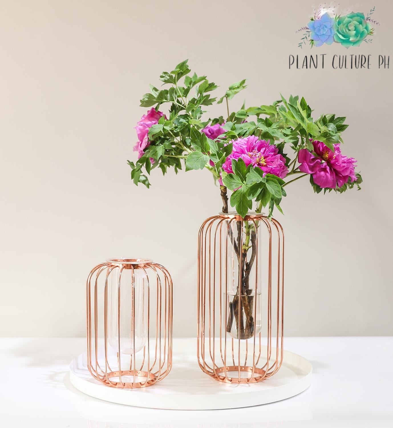 Nordic Glass Tube Vase with Rose Gold Cage