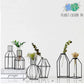 Glass Tube Vase with Black Geometric Metal Frame
