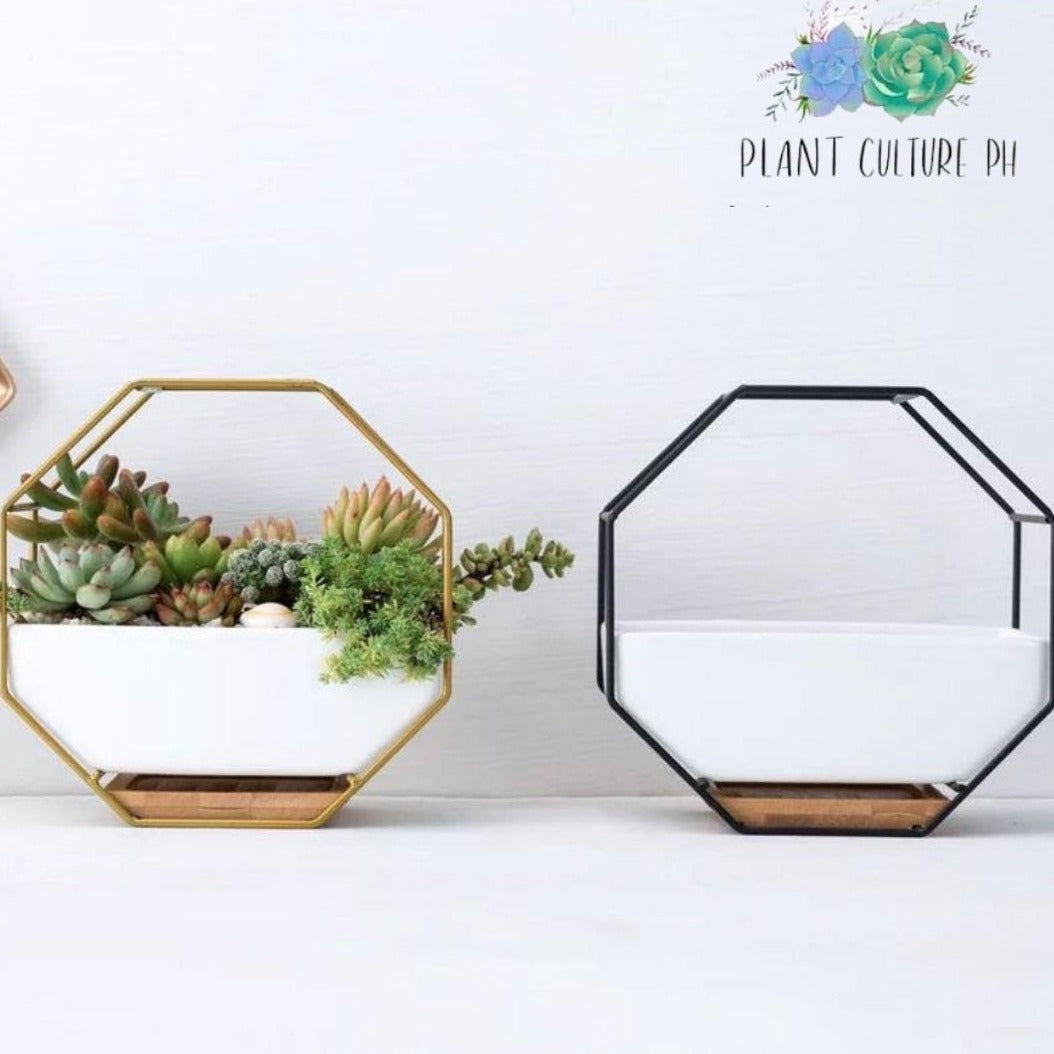 Octagon Nordic Stand with Ceramic Planter | Ceramic Pots