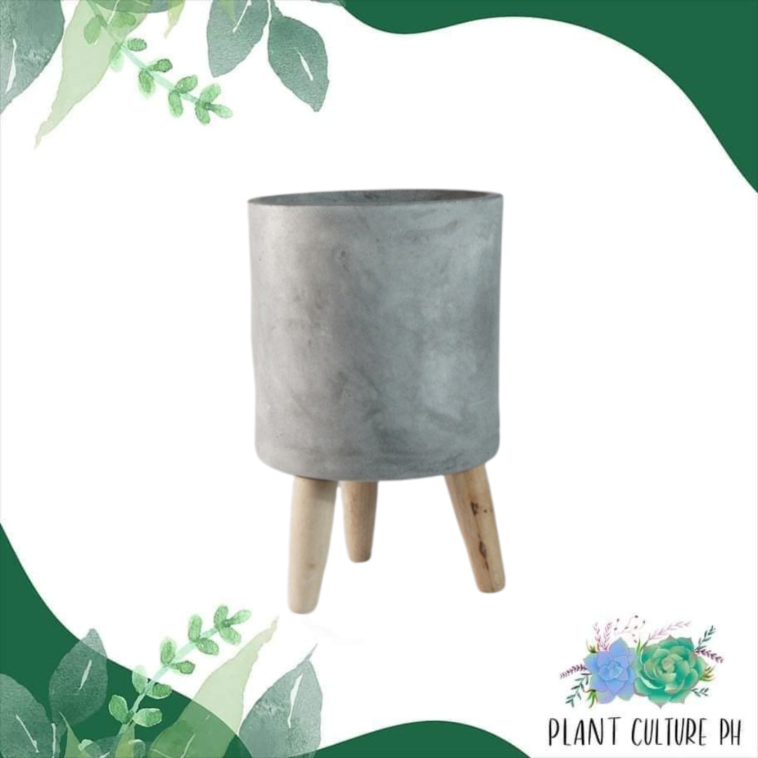 Classy Elevated Planter for House Plants | Cement Pots