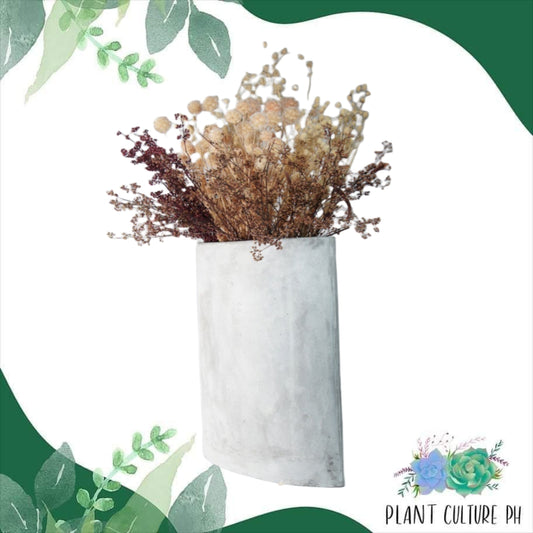 Modern Irregular Shaped Planter for House Plants by Plant Culture PH