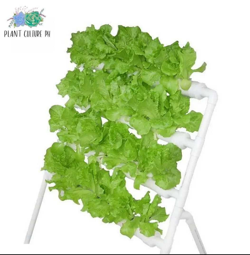 Hydroponic 36 Holes Plant Site Grow Kit NFT Garden Vegetable Ladder Style 4 pipes