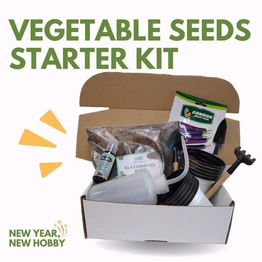 Vegetable Seeds Starter Kit
