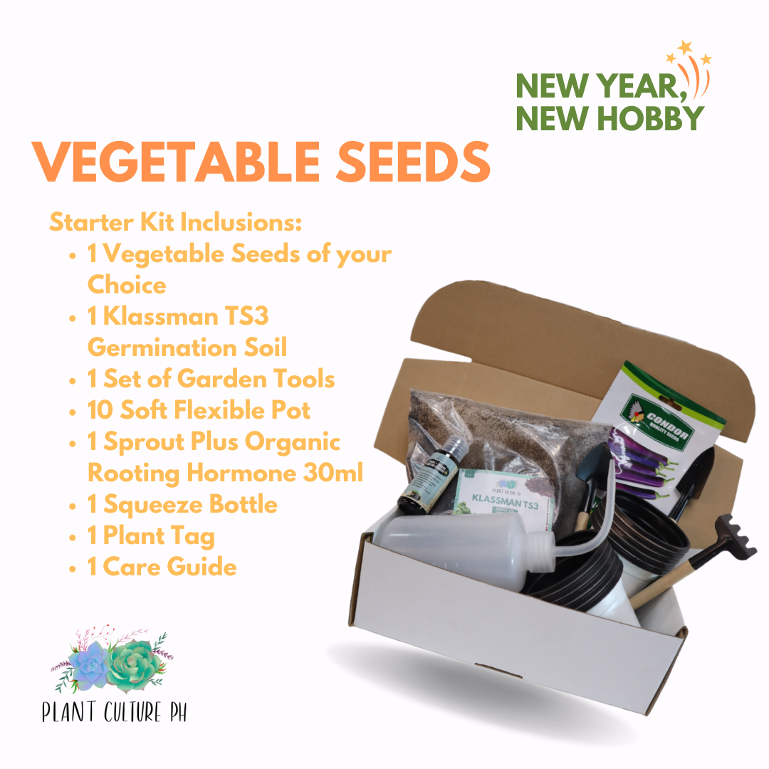 Vegetable Seeds Starter Kit