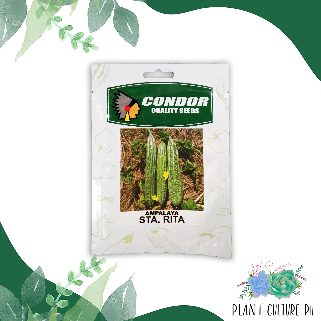 Condor  Quality Seeds  Ampalaya Sta. Rita 3 grams