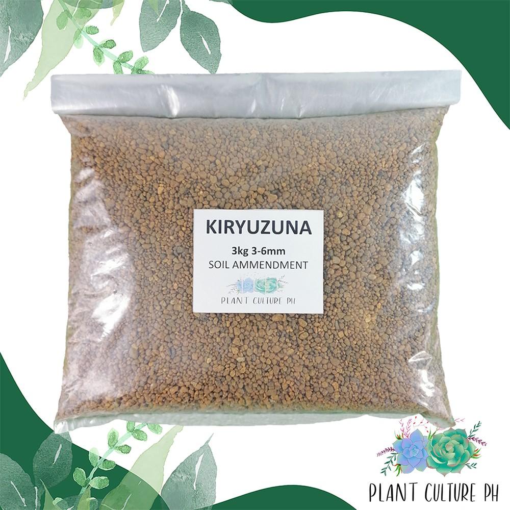 Kiryuzuna 3-6mm by Plant Culture PH