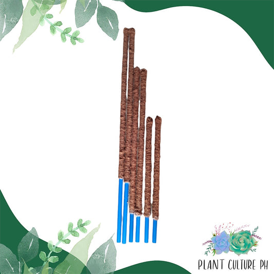Coco Pole by Plant Culture PH