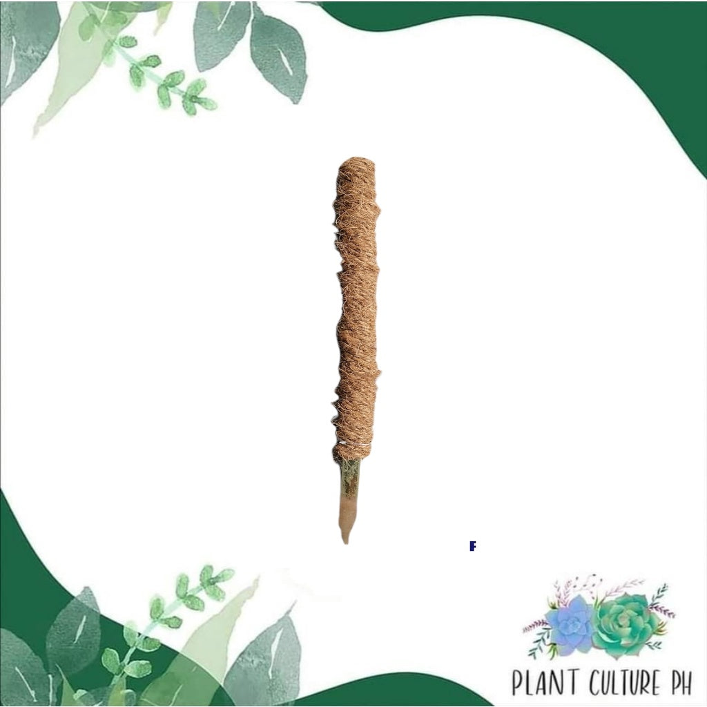 Coco Pole by Plant Culture PH