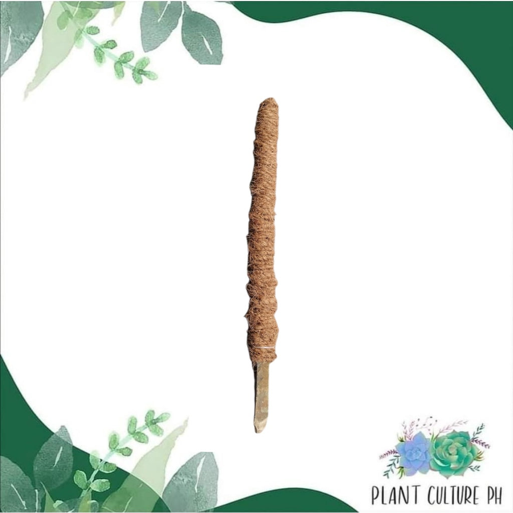 Coco Pole by Plant Culture PH