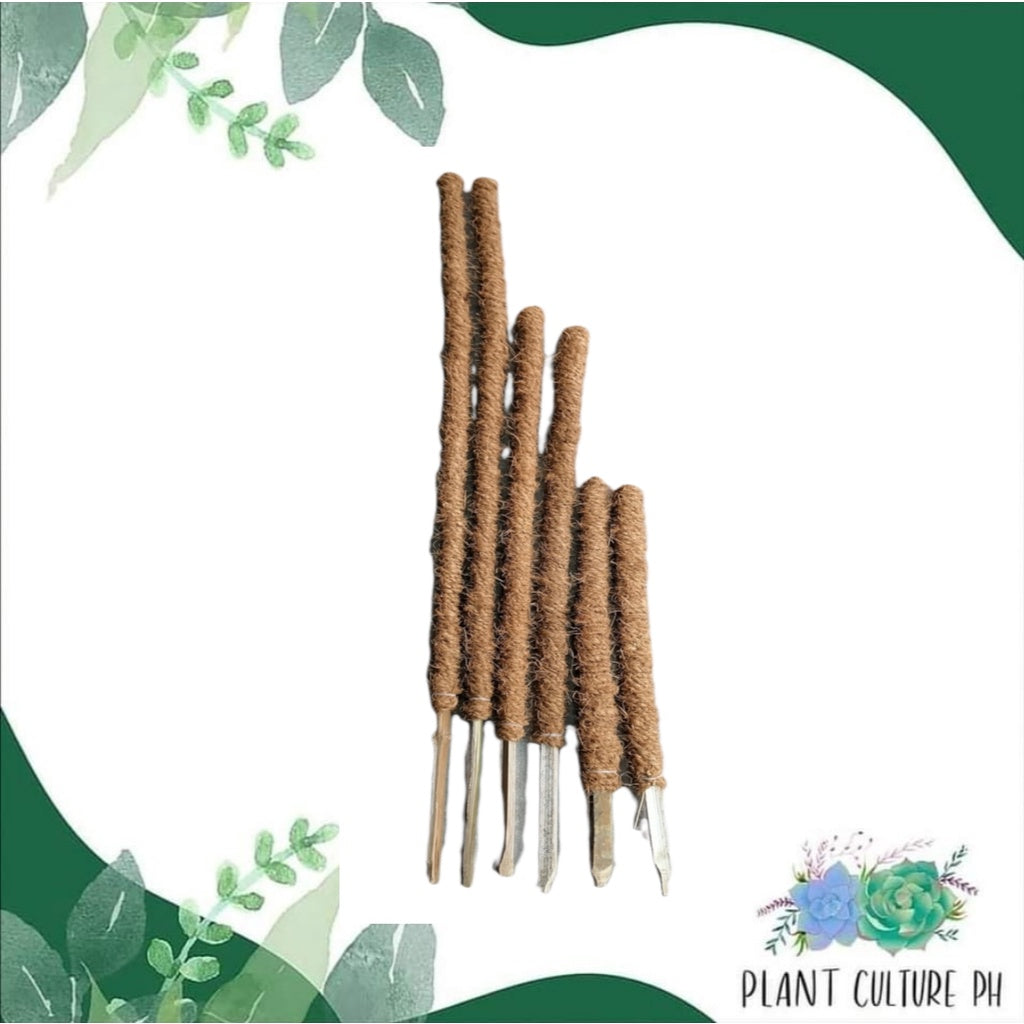 Coco Pole by Plant Culture PH